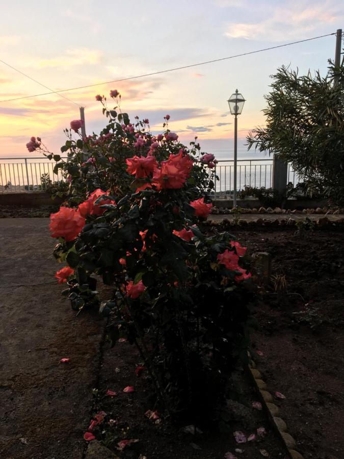 Balconcino Degli Innamorati Tropea 산타도메니카 외부 사진